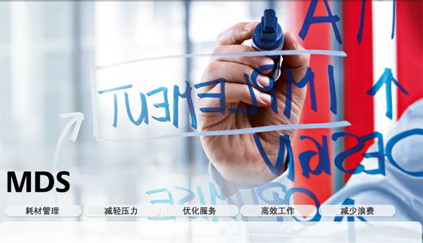 照片：MDS(文檔管理服務(wù))網(wǎng)頁(yè)的圖像